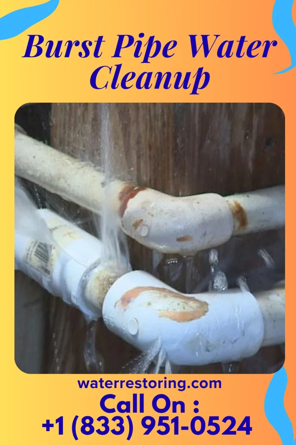 Burst Pipe Water Cleanup in Valley Hill, NC