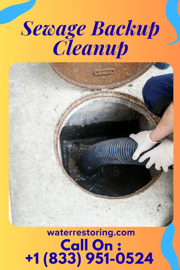 Sewage Backup Cleanup in Valley Hill, NC